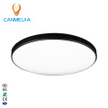 Surface mounted ceiling light 12W led ceiling light modern for living room 24W ceiling lights/lamparas de techo